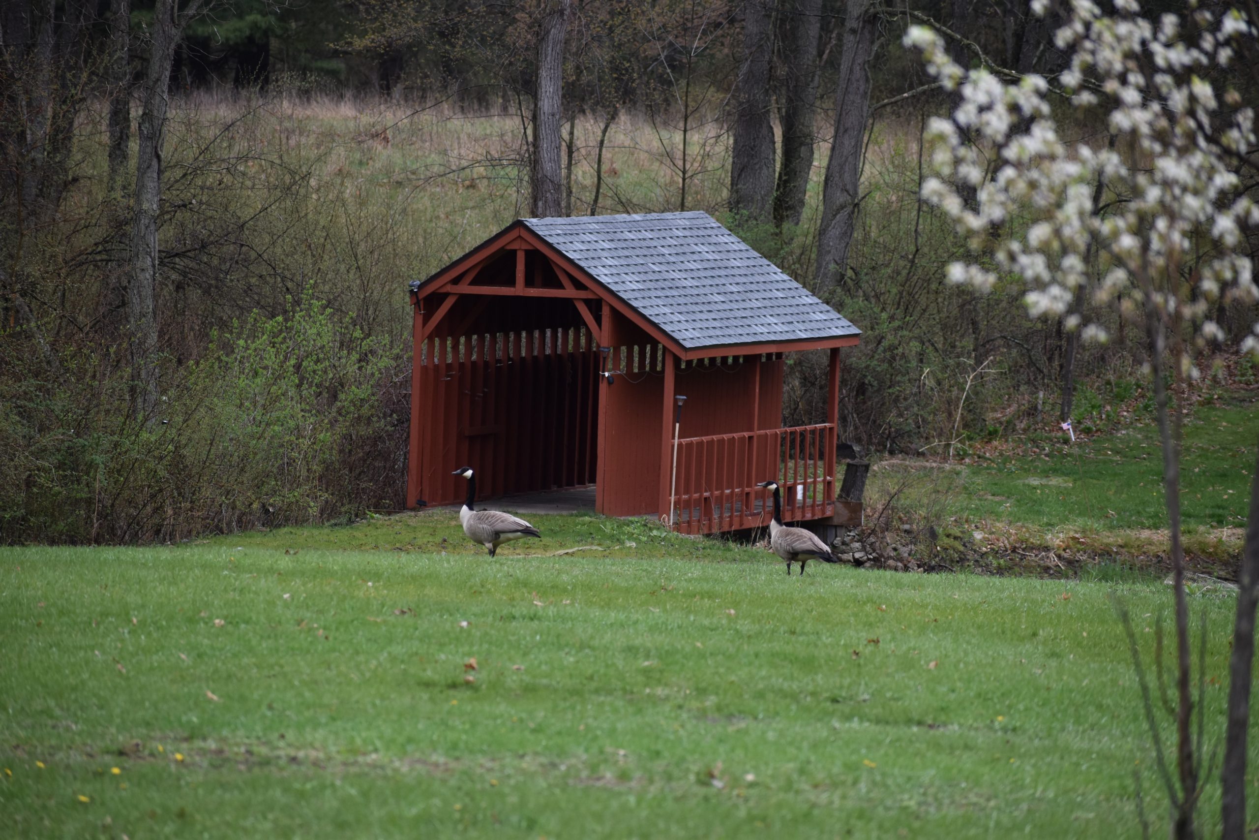 rustic-retreats